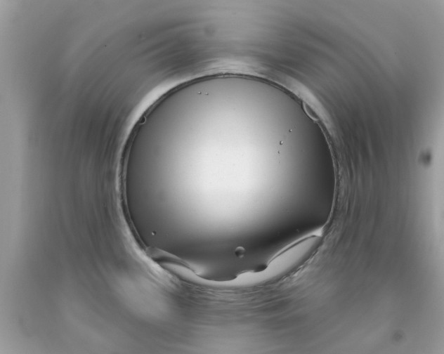 X0000091531339200709141427