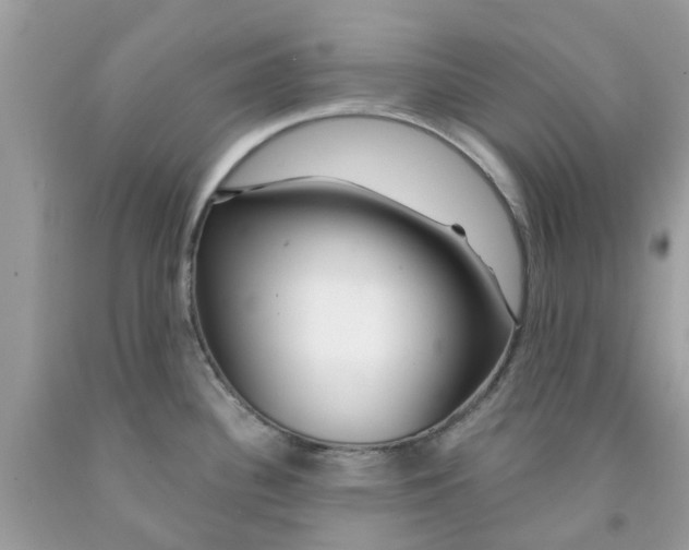 X0000091531340200709141427