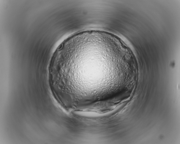 X0000091531341200709141427