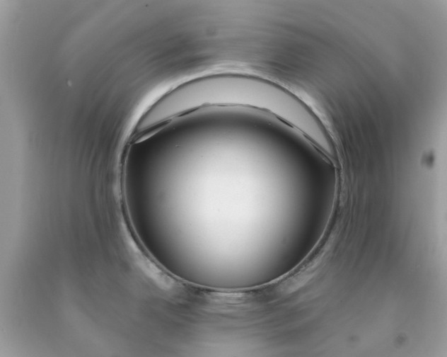 X0000091531342200709141427
