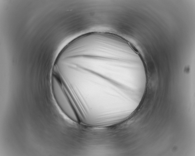 X0000091531343200709141427