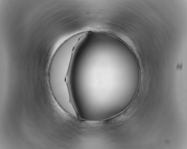 X0000091531344200709141427