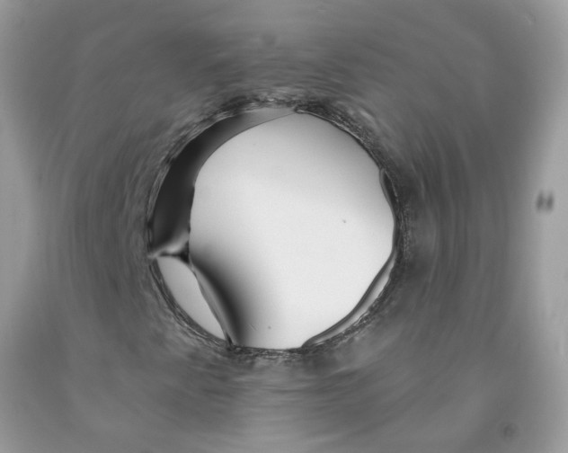 X0000091531345200709141427