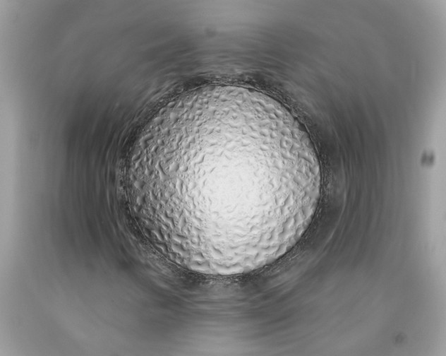 X0000091531346200709141427