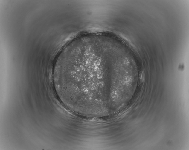 X0000091531348200709141427