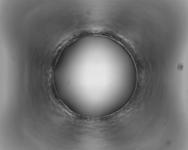 X0000091531349200709141426