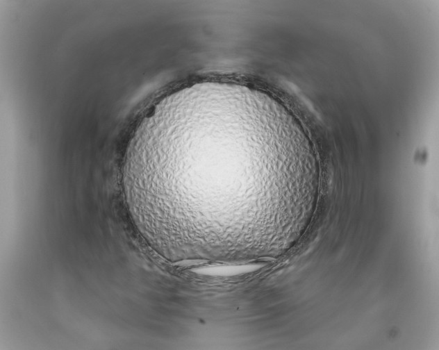 X0000091531350200709141426