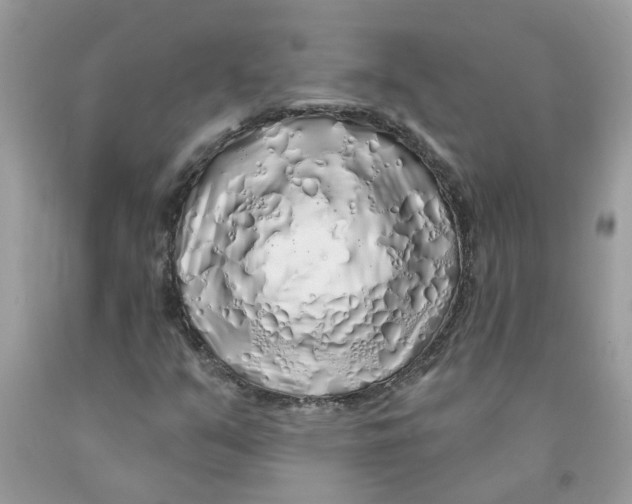 X0000091531351200709141426