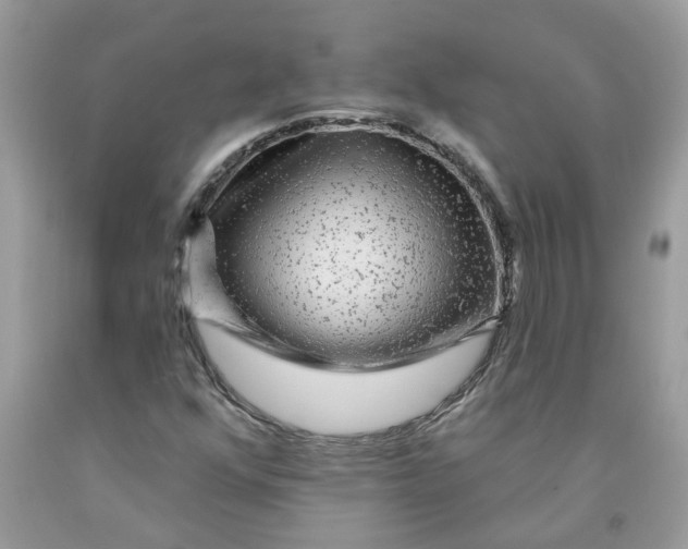 X0000091531352200709141426