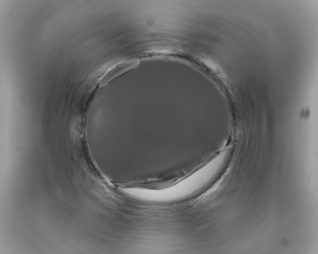 X0000091531353200709141426