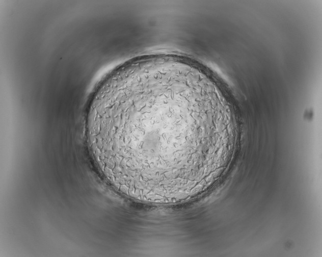 X0000091531358200709141426