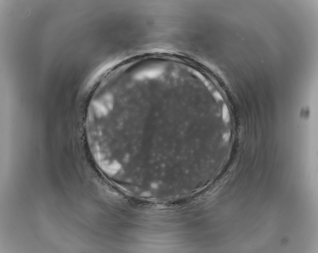 X0000091531359200709141426