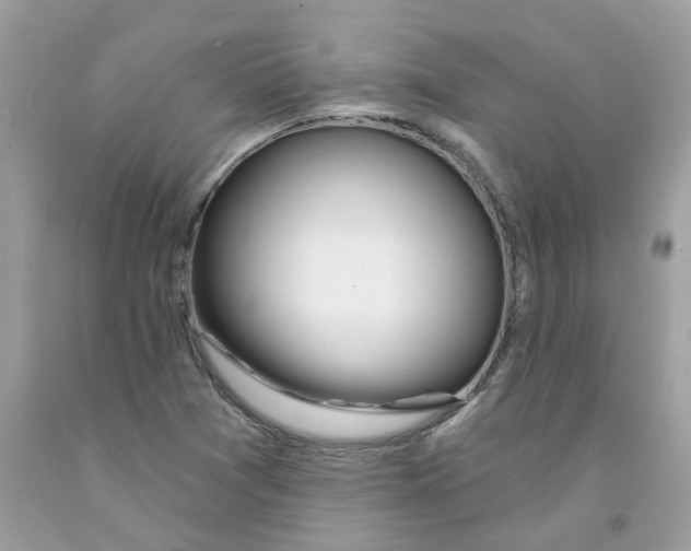 X0000091531361200709141426