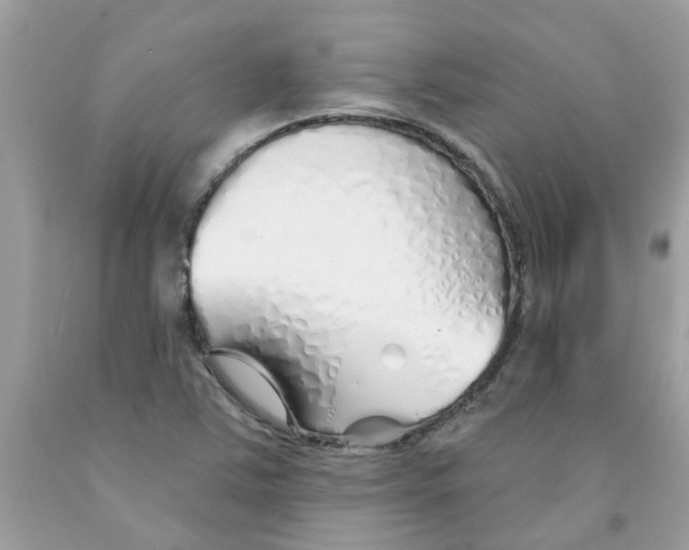 X0000091531363200709141426