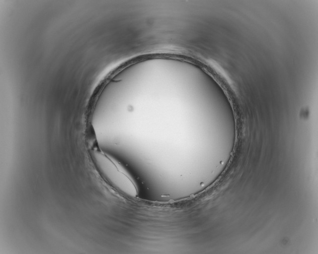 X0000091531364200709141426