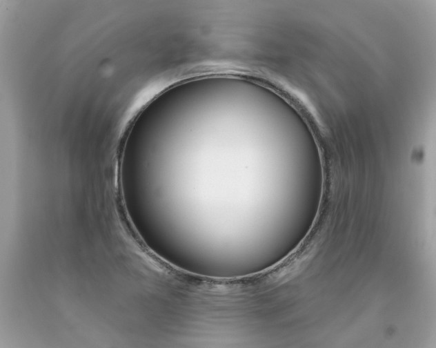 X0000091531365200709141426