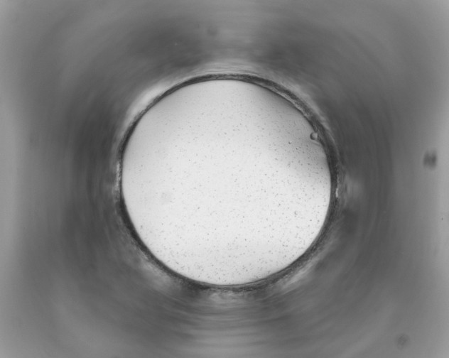 X0000091531366200709141426