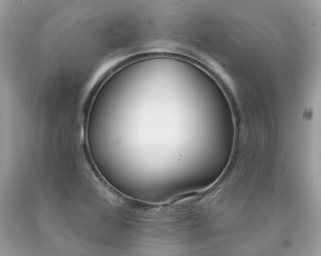 X0000091531368200709141426