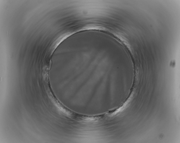 X0000091531369200709141426