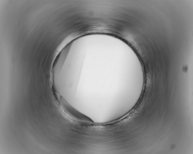 X0000091531370200709141426