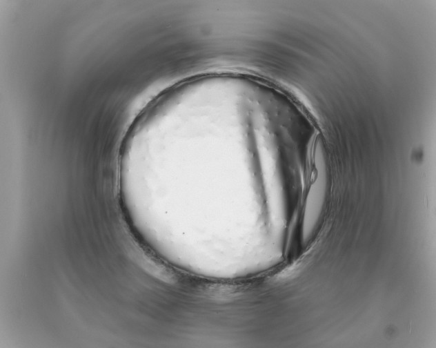 X0000091531371200709141426