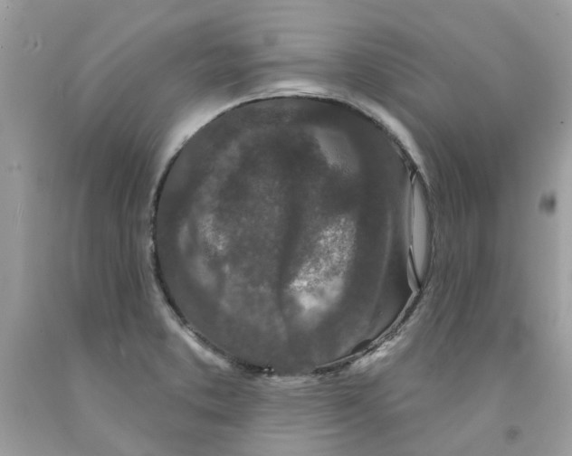 X0000091531373200709141426