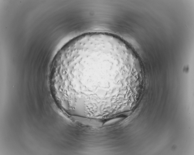 X0000091531374200709141426