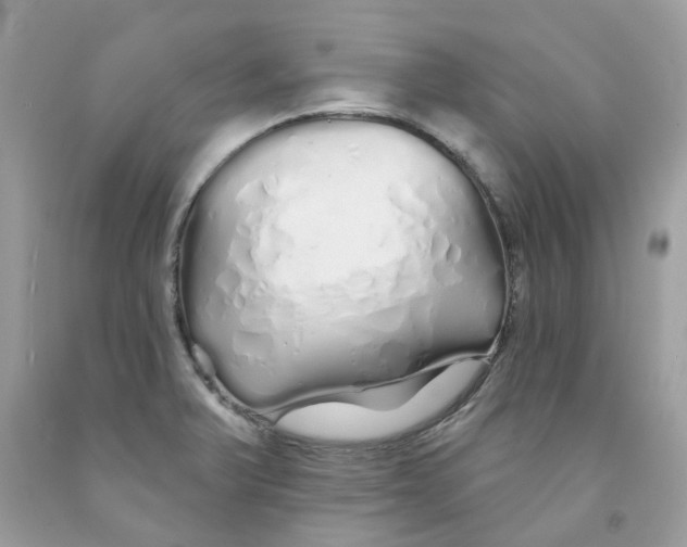 X0000091531375200709141426