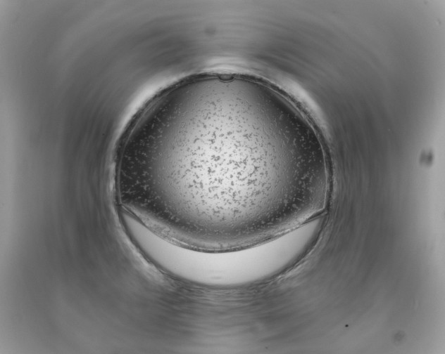 X0000091531376200709141426