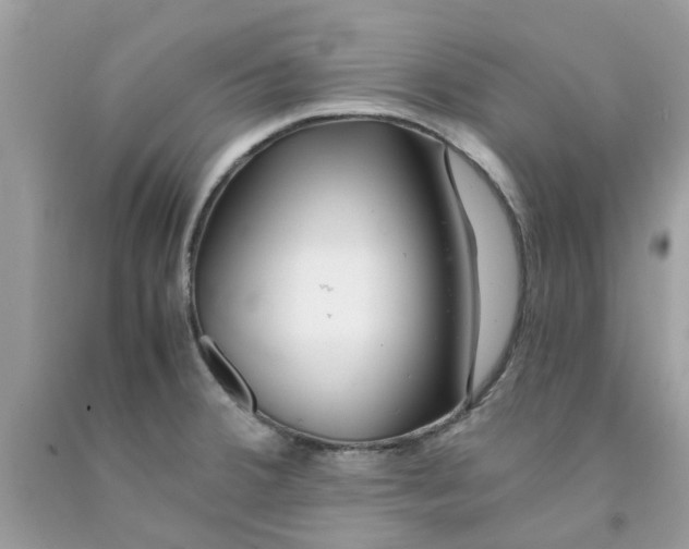 X0000091531380200709141426