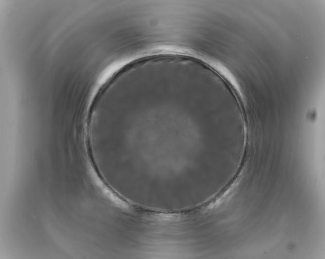X0000091531381200709141426