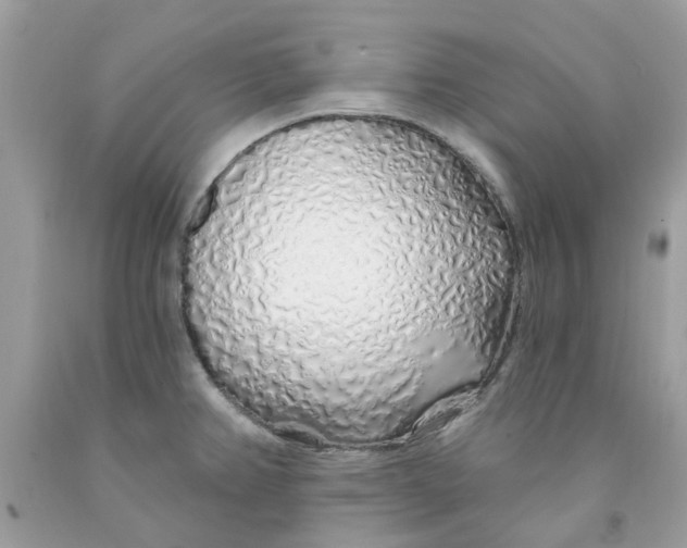 X0000091531382200709141426