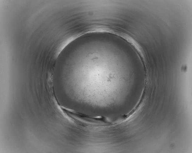 X0000091531385200709141426