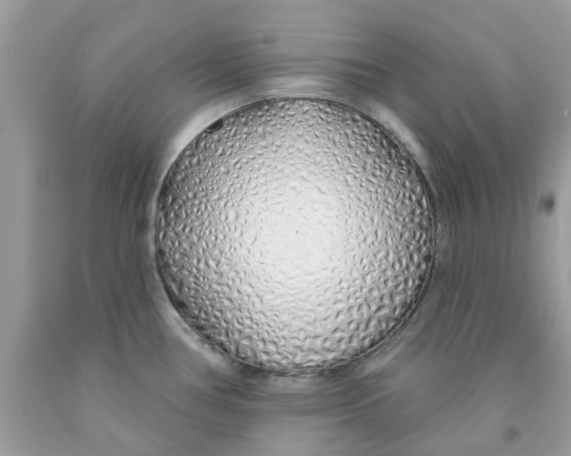 X0000091531386200709141426