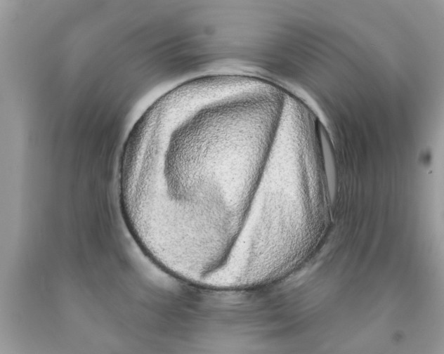 X0000091531387200709141426