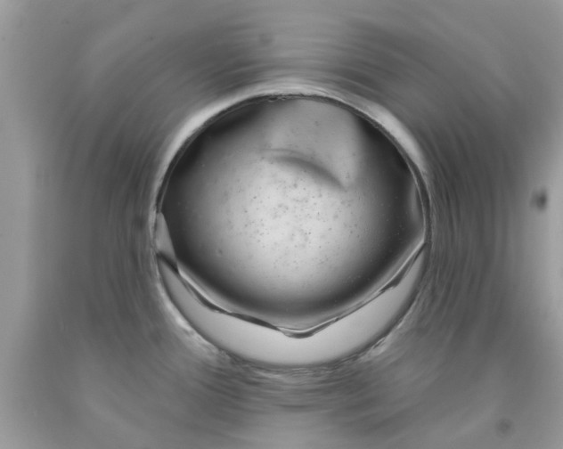 X0000091531388200709141426