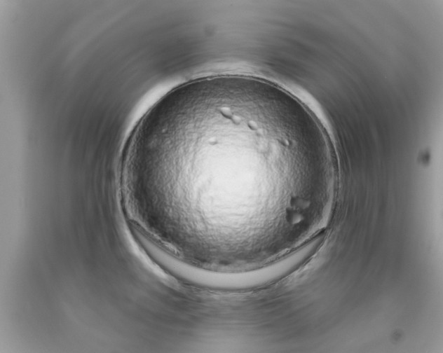 X0000091531389200709141426