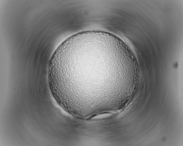 X0000091531390200709141426