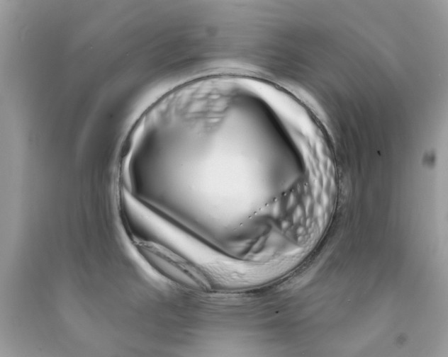 X0000091531391200709141426
