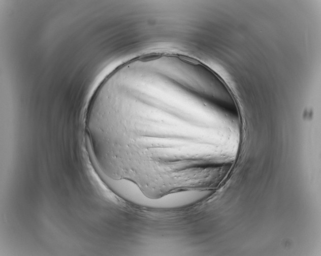 X0000091531392200709141426