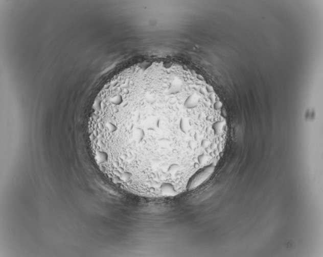 X0000091531393200709141425