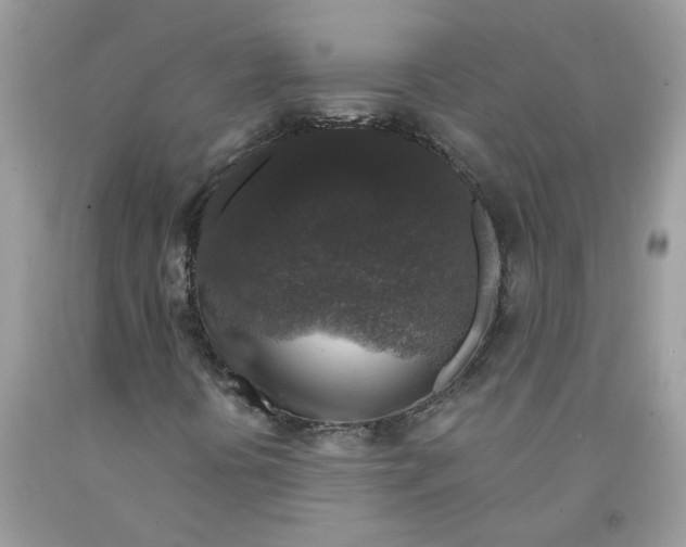 X0000091531394200709141425