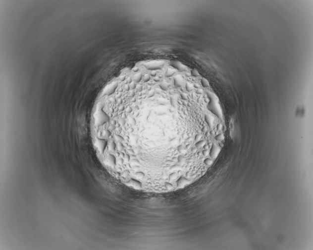 X0000091531395200709141425