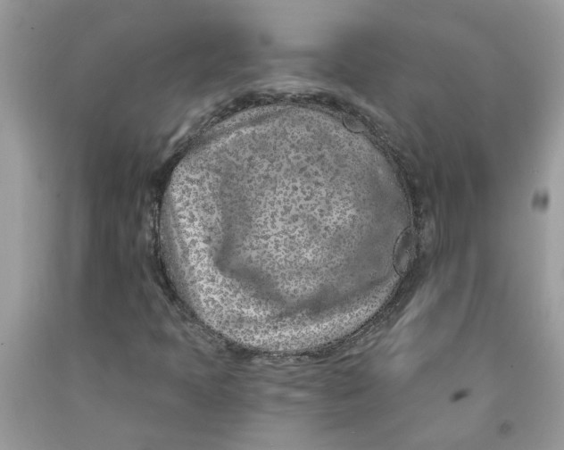 X0000091531397200709141425