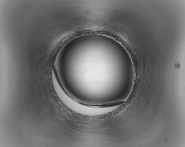 X0000091531398200709141425