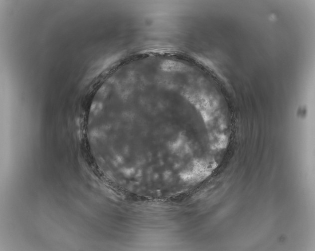 X0000091531399200709141425