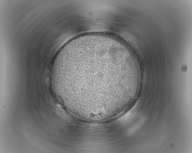 X0000091531401200709141425
