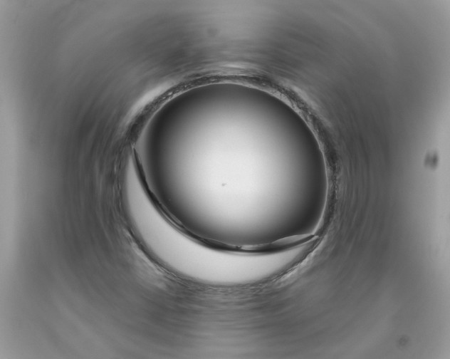 X0000091531402200709141425