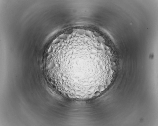 X0000091531403200709141425