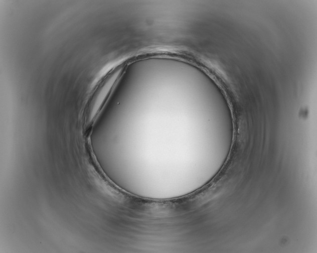 X0000091531404200709141426